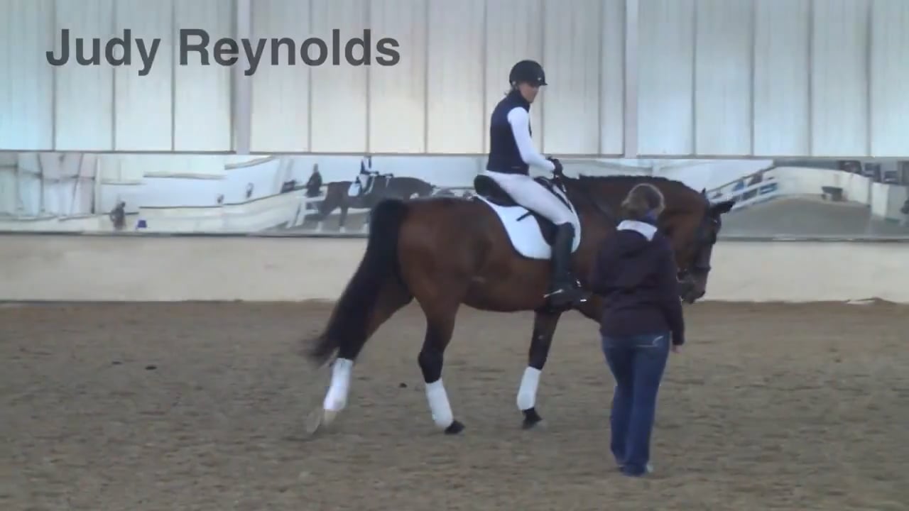 Fourth/PSG - Canter Zig-Zag Exercises | Judy Reynolds | PART 04