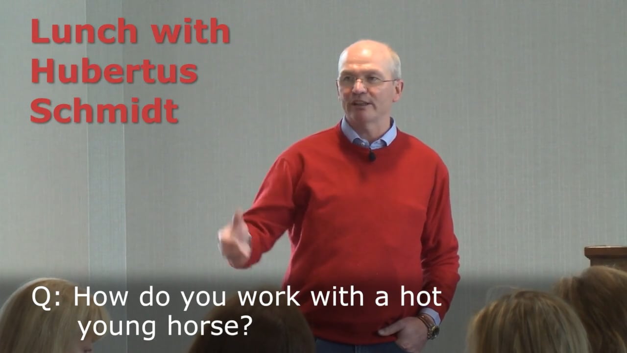Hot, Young Horse | Hubertus Schmidt