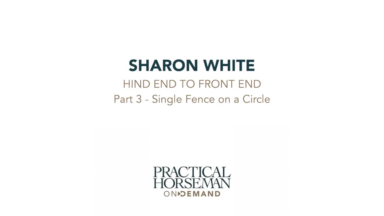 Hind End to Front End | Sharon White | PART 03