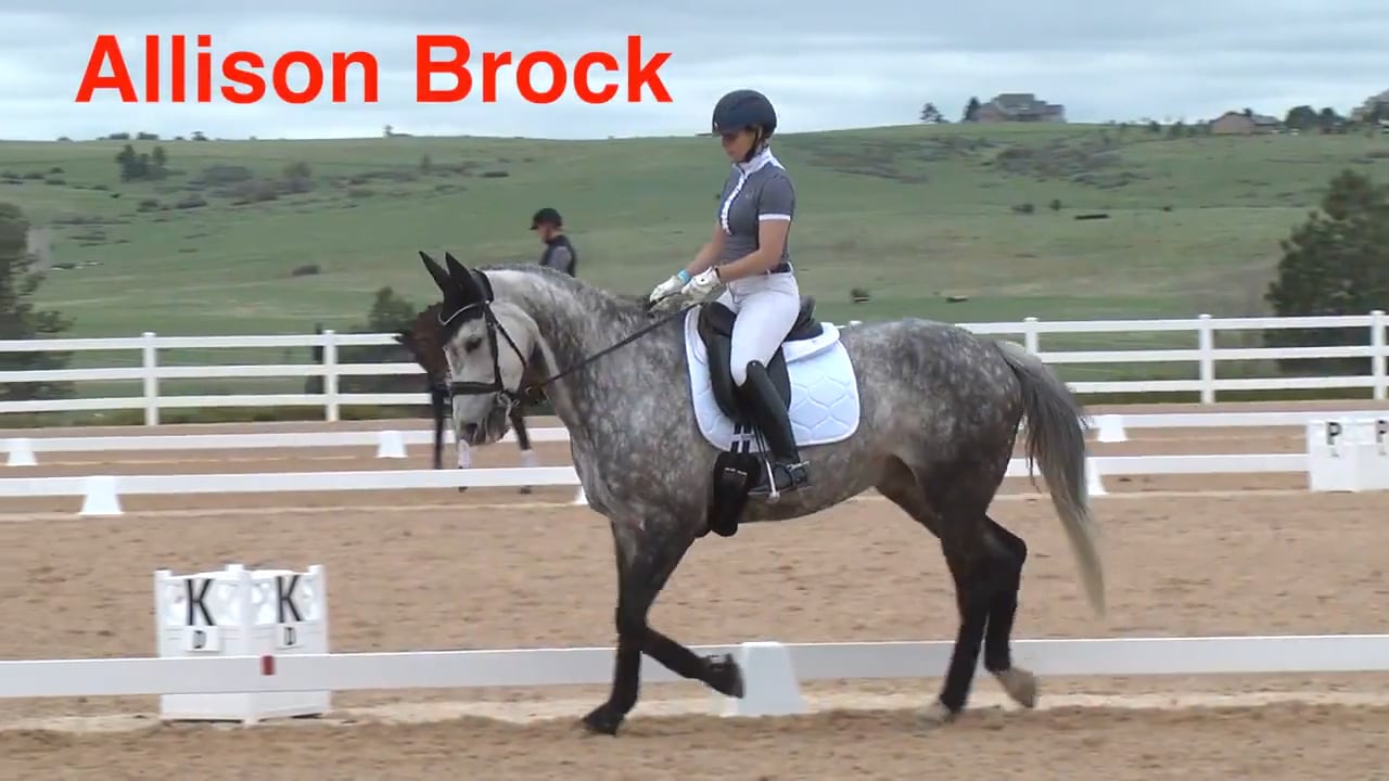 Hunter Ring to Dressage Ring - Warm Up | Allison Brock | PART 01
