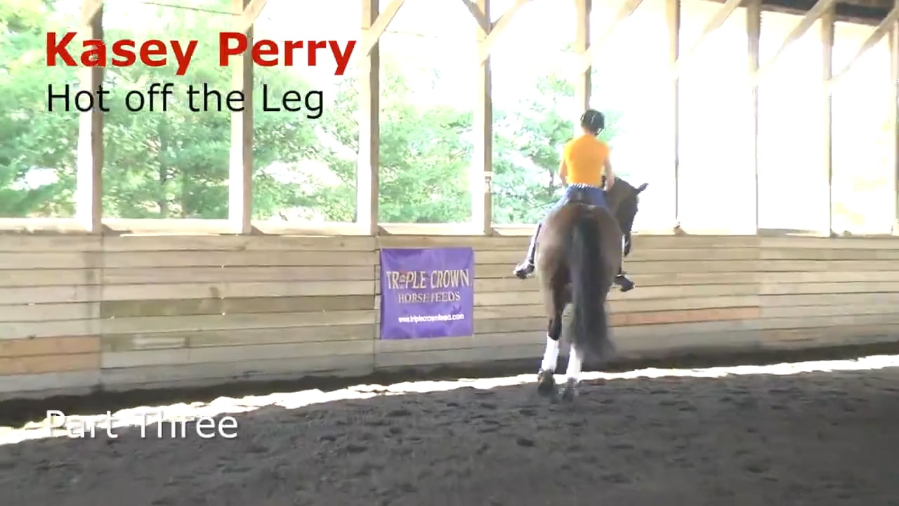 Hot Off the Leg - More Canter Lateral Work | Kasey Perry-Glass | PART 03