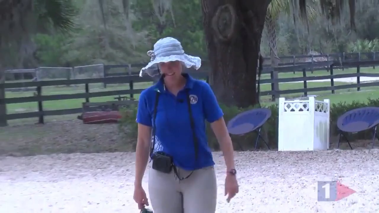 Improving Transitions - Tempo, Rhythm & Balance | Dorothy Crowell | TRAILER