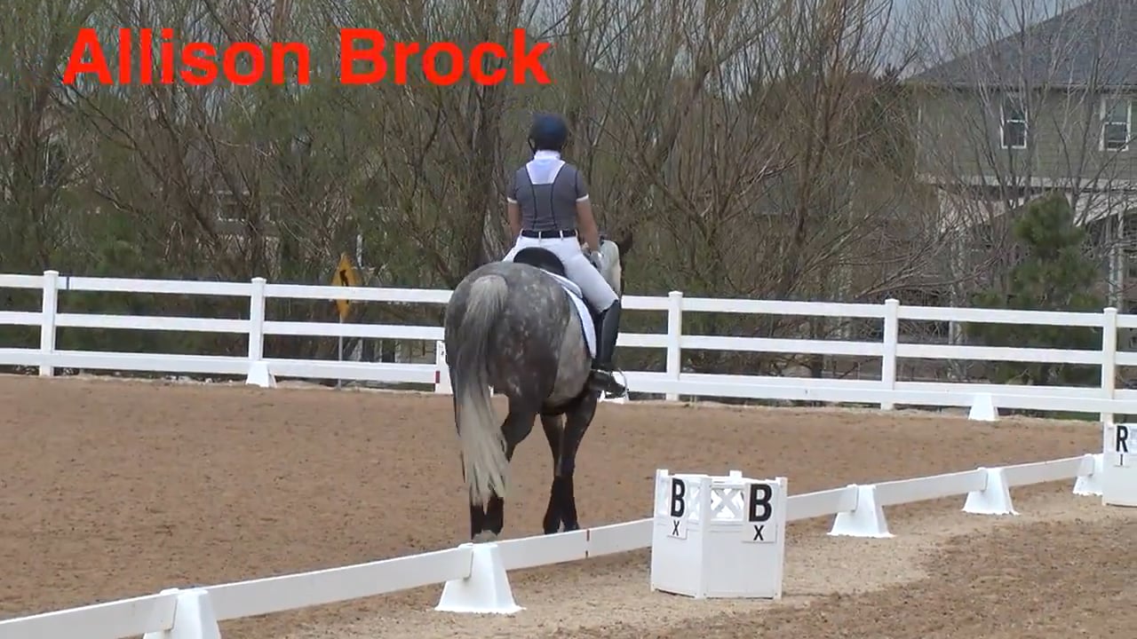 Hunter Ring to Dressage Ring - Trot Work | Ali Brock | PART 03