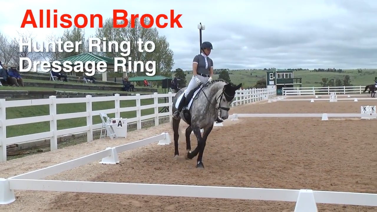Hunter Ring to Dressage Ring - Canter Work | Ali Brock | PART 04