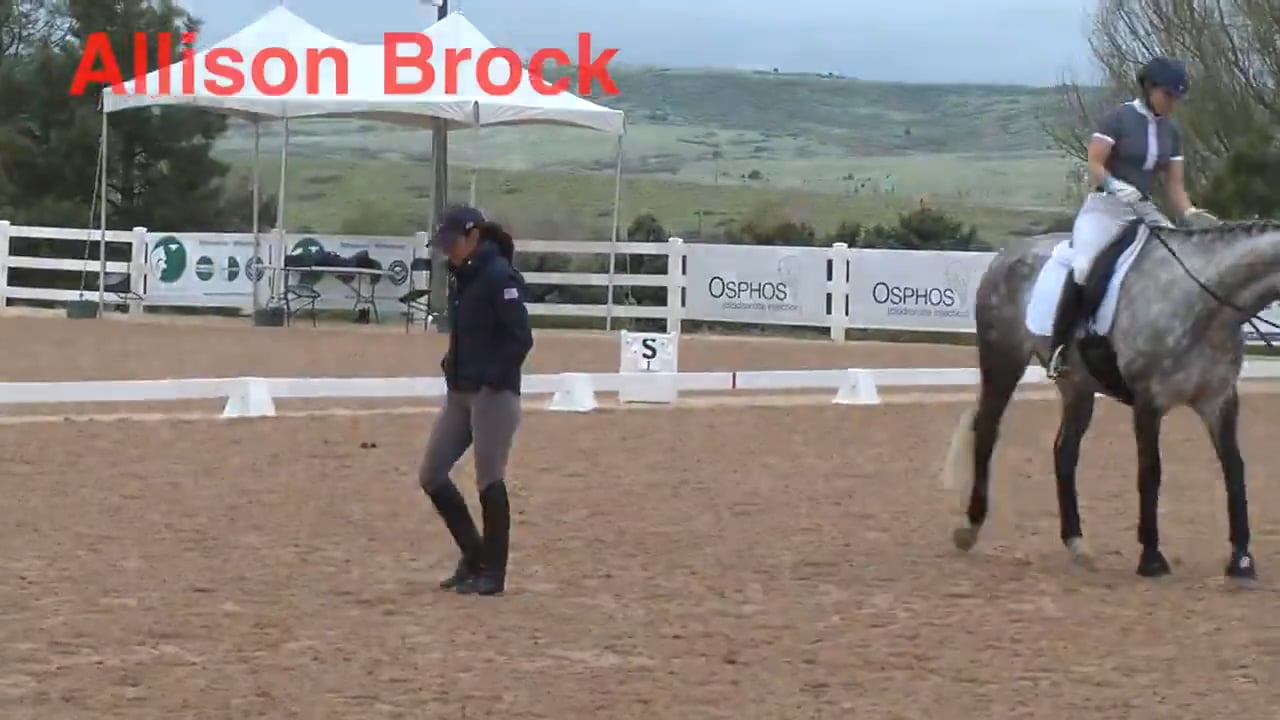 Hunter Ring to Dressage Ring - Rider Position | Ali Brock | PART 02