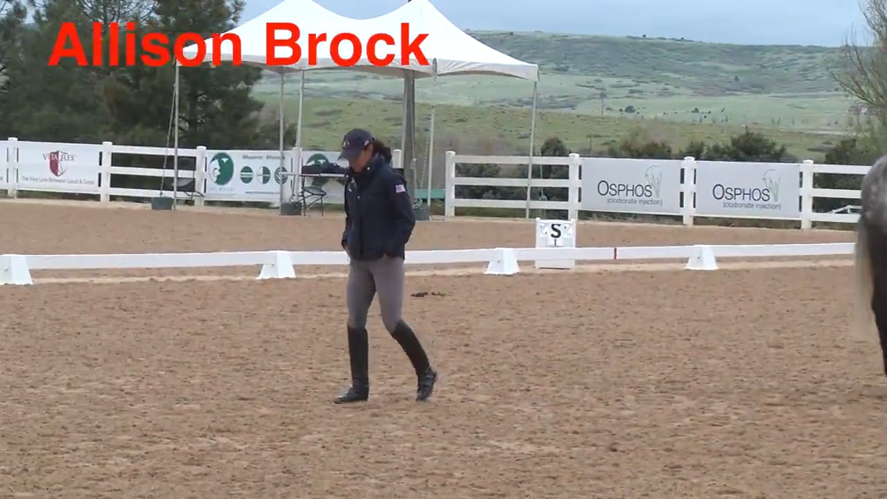 Hunter Ring to Dressage Ring | Allison Brock | PART 02