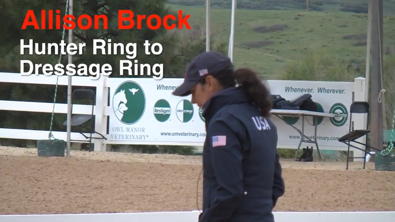 Hunter Ring to Dressage Ring - Next Steps | Ali Brock | PART 05
