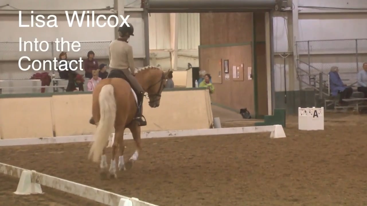 Into the Contact | Lisa Wilcox | PART 03