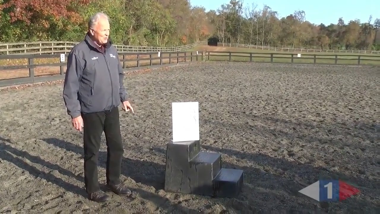 Jumping Fundamentals | William Fox-Pitt | PART 01