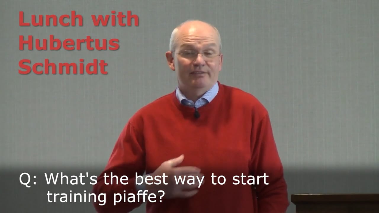 Introducing Piaffe | Hubertus Schmidt
