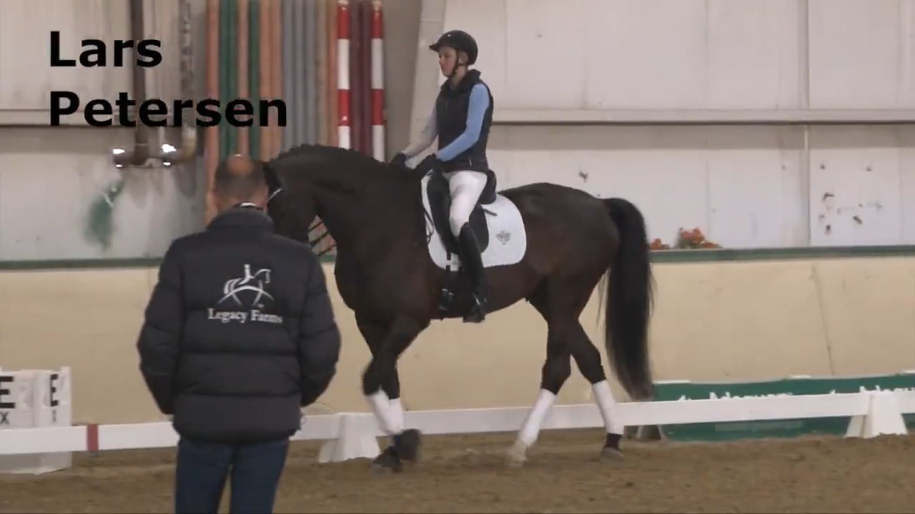 Junior Rider Third Level. Part 3