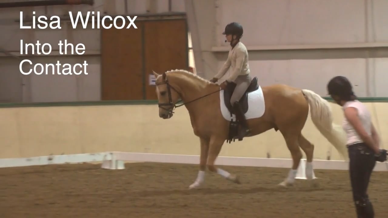 Into the Contact | Lisa Wilcox | PART 01
