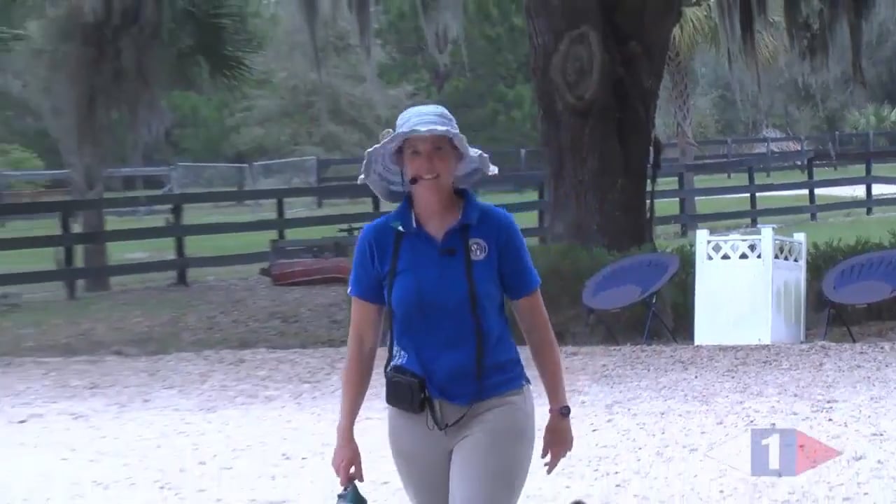 Improving Transitions - Tempo, Rhythm & Balance | Dorothy Crowell | PART 01