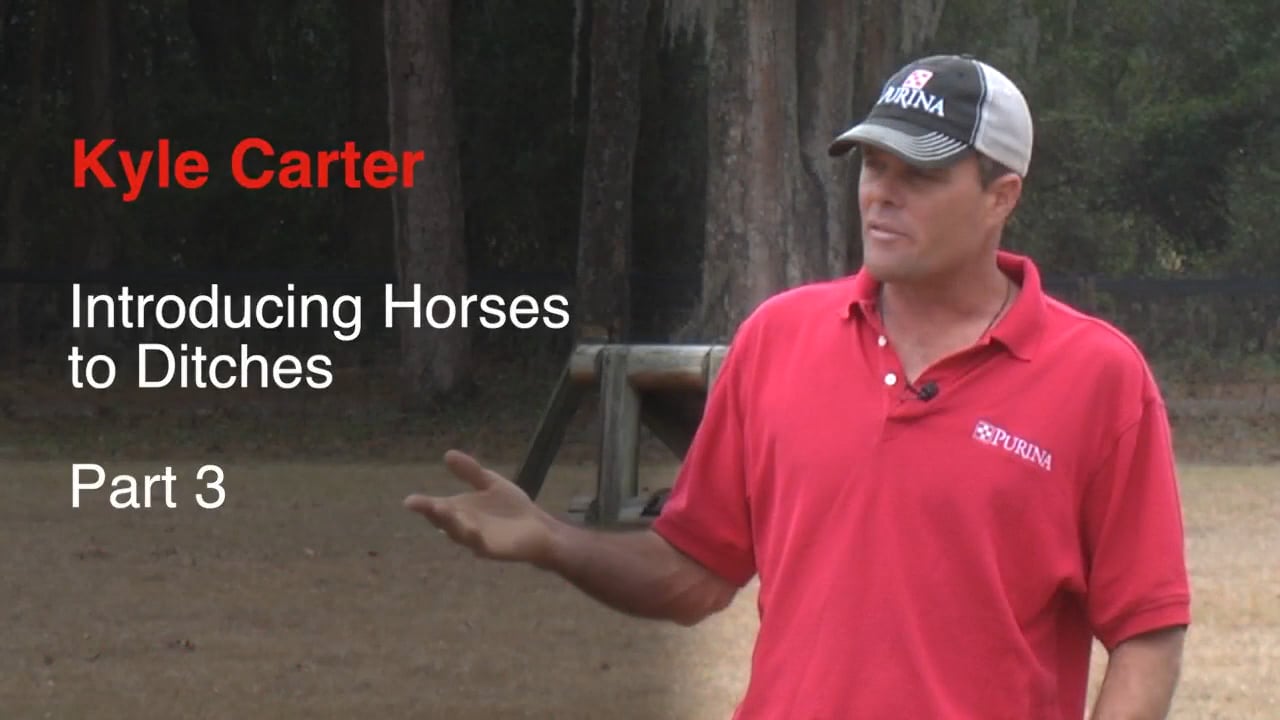 Introducing Horses To Ditches | Kyle Carter | PART 03