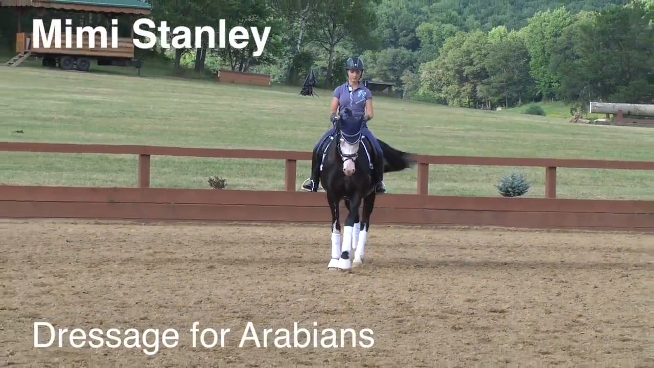 Dressage for Arabians | Mimi Stanley | PART 02