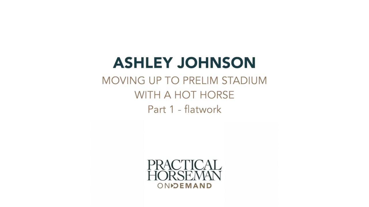 Moving to Preliminary Stadium Jumping on a Hot Horse | Ashely Johnson | PART 01