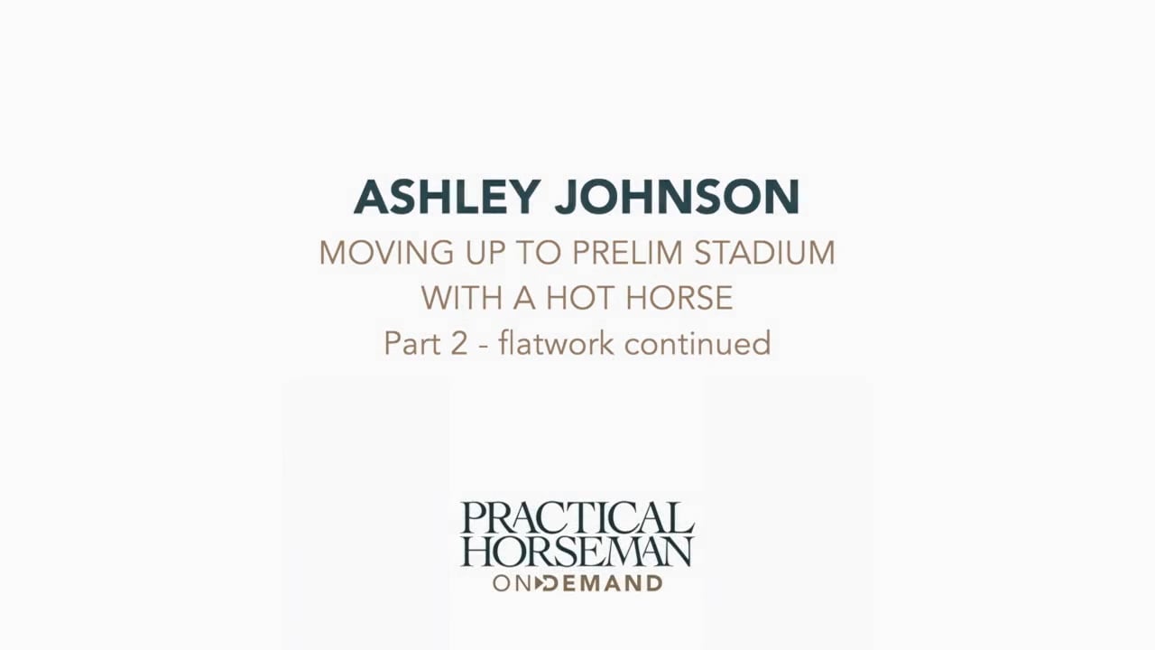 Moving to Preliminary Stadium Jumping on a Hot Horse | Ashely Johnson | PART 02