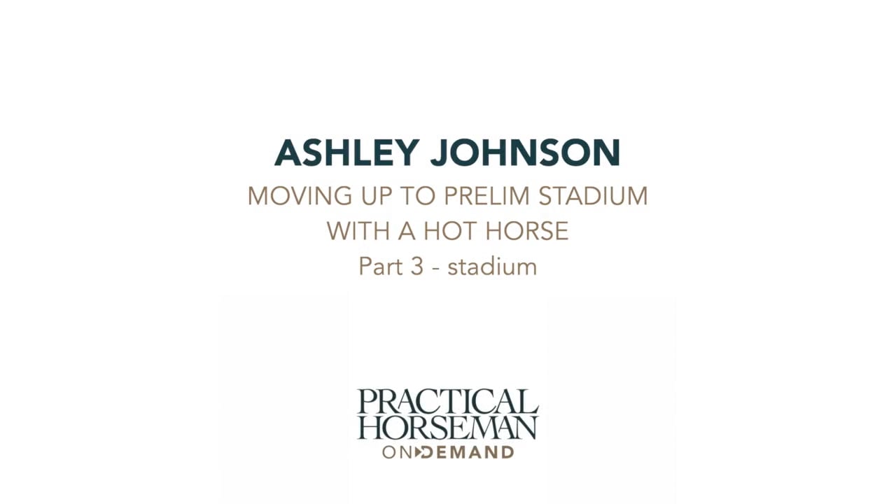 Moving to Preliminary Stadium Jumping on a Hot Horse | Ashely Johnson | PART 03