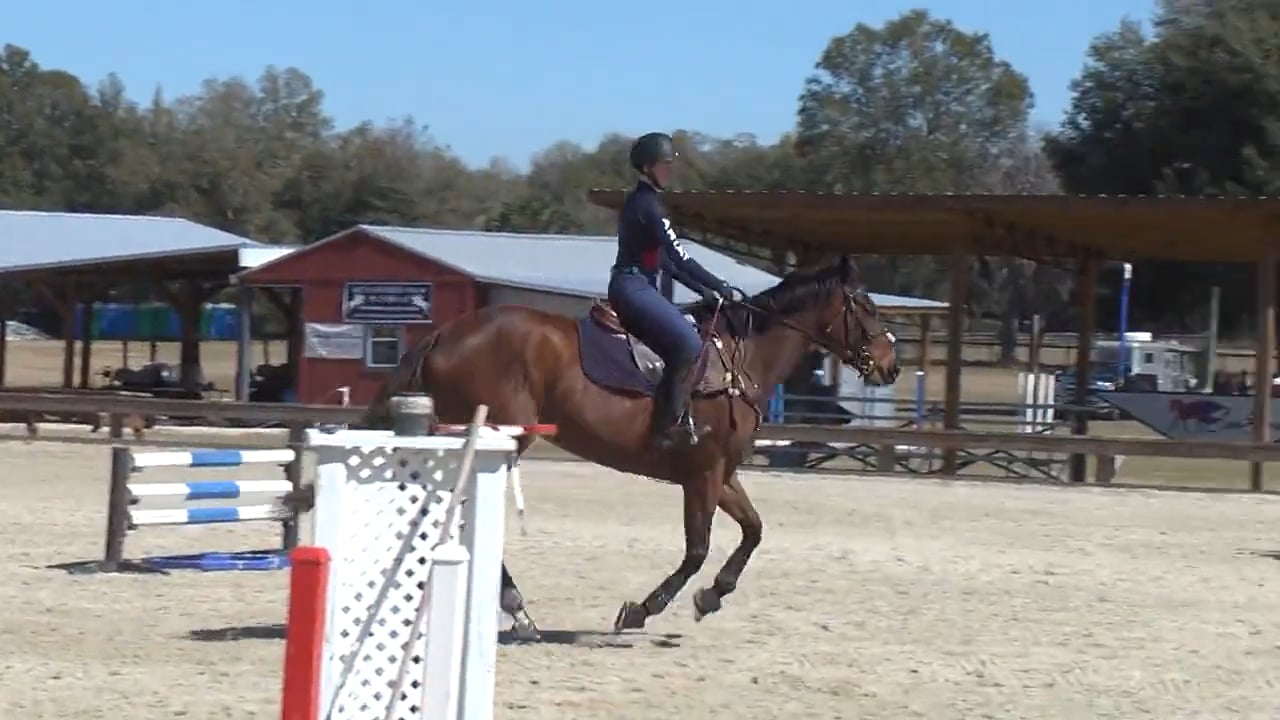 OTTB Hunter/Jumper to Eventing - Stadium | Ashely Johnson | TRAILER