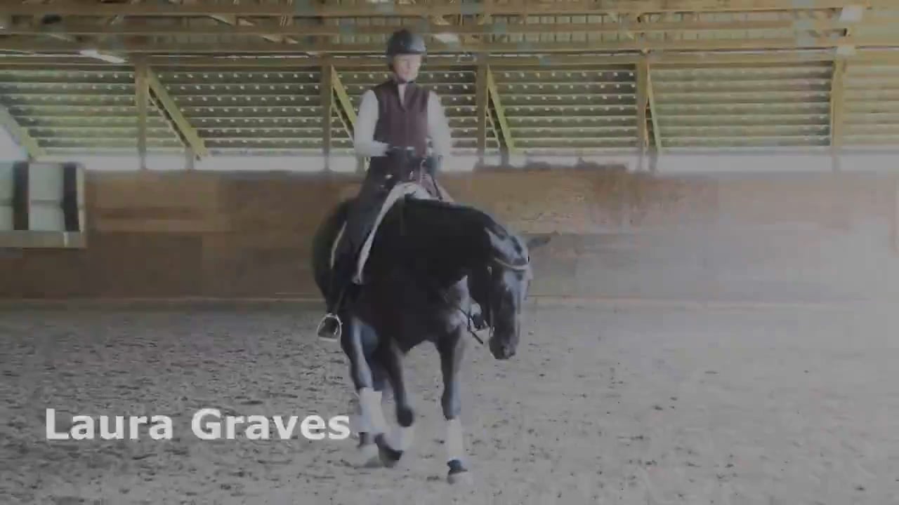 Preparing for the Flying Change | Laura Graves | PART 03