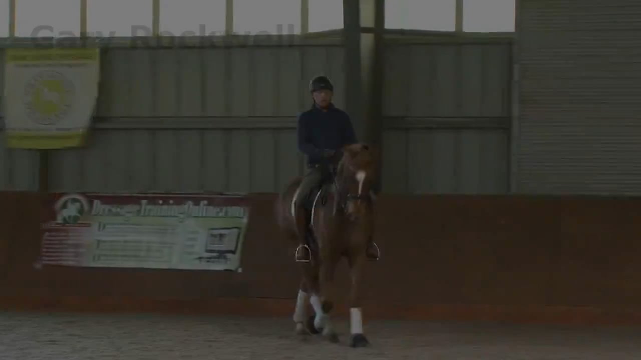 Prix St. Georges | Gary Rockwell | PART 03