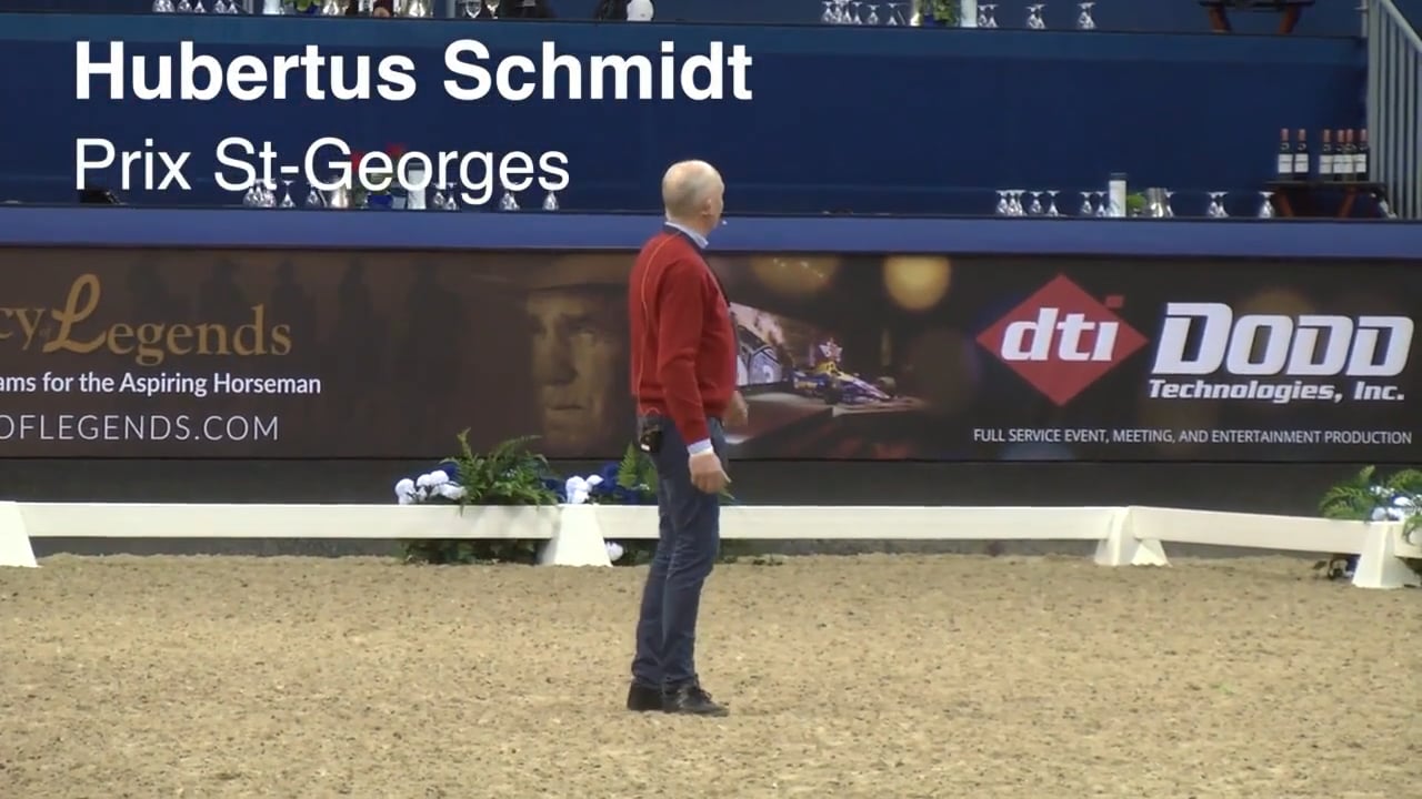 Prix St-Georges - Canter Half Pass, Pirouettes | Hubertus Schmidt | PART 03