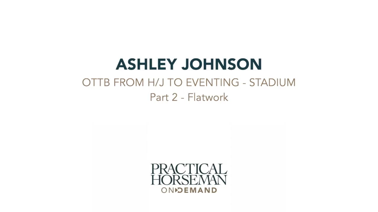OTTB Hunter/Jumper to Eventing - Stadium | Ashely Johnson | PART 02