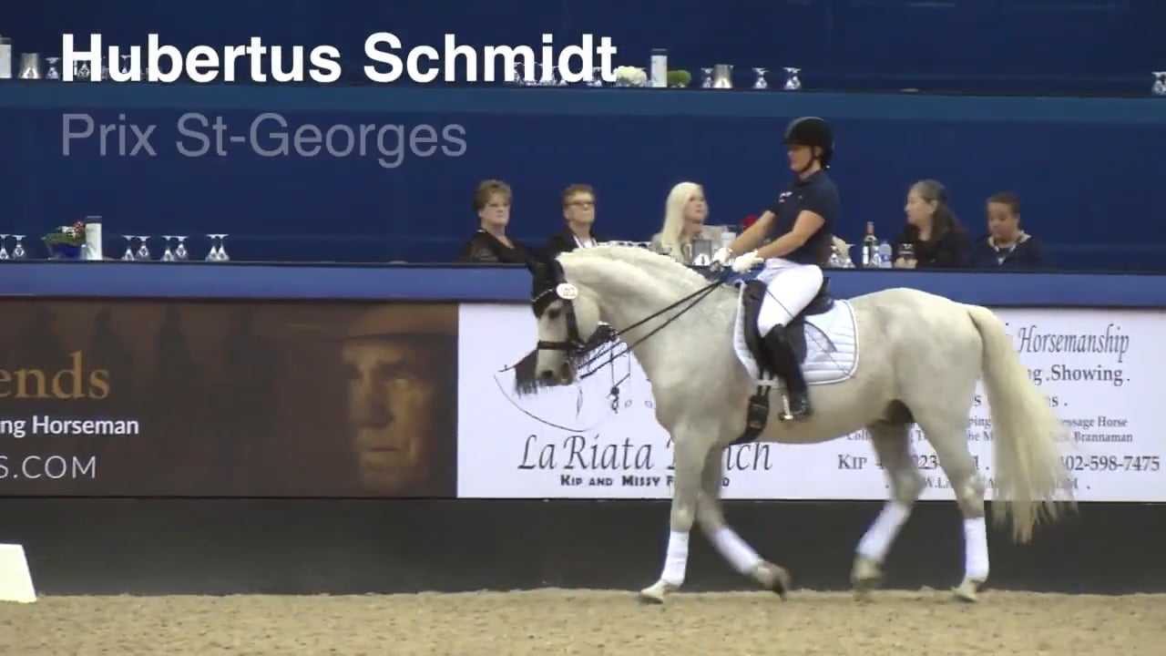 Prix St-Georges - Trot Work | Hubertus Schmidt | PART 02