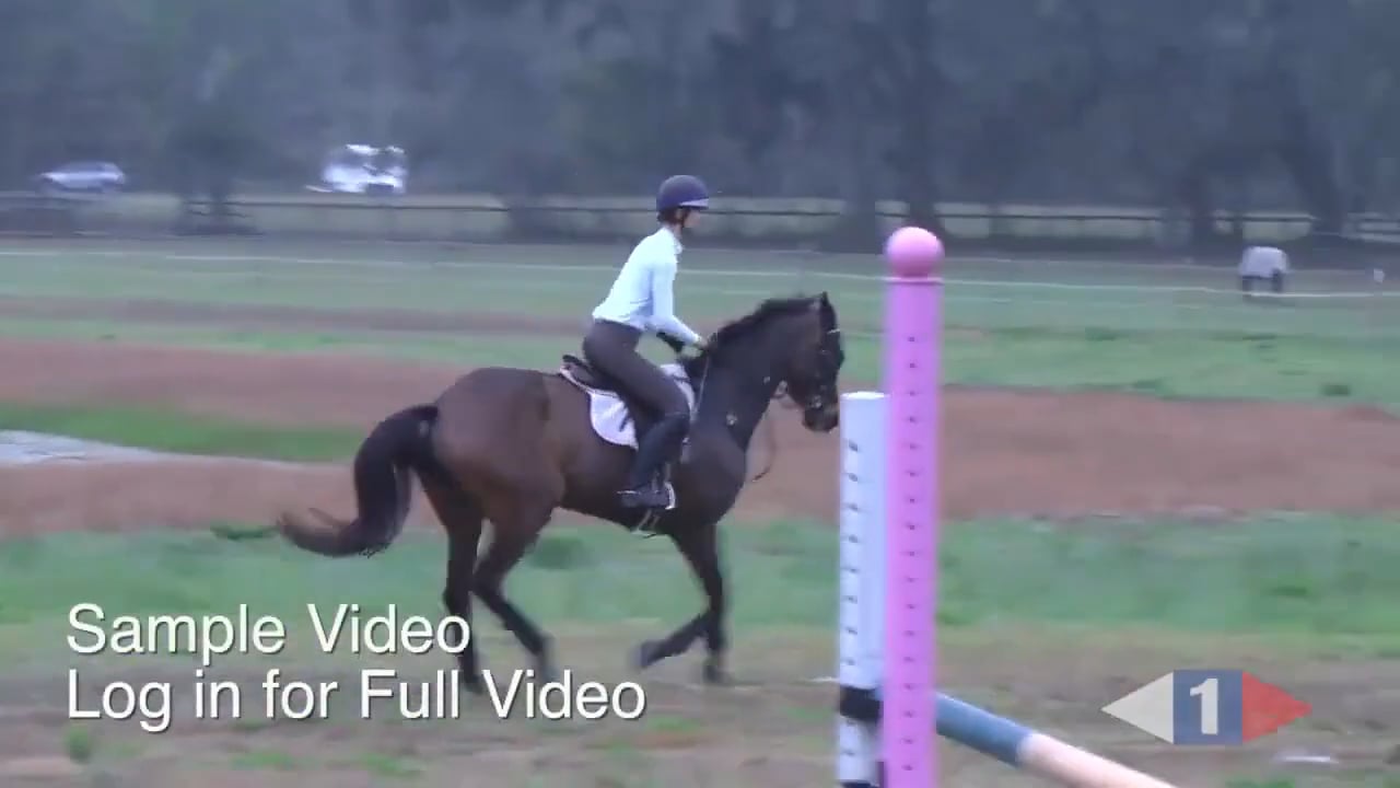 Rider Position & Footwork | Dorothy Crowell | TRAILER