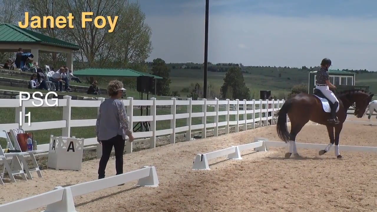 Prix St. Georges s/Intermediate 1 | Janet Foy | PART 02