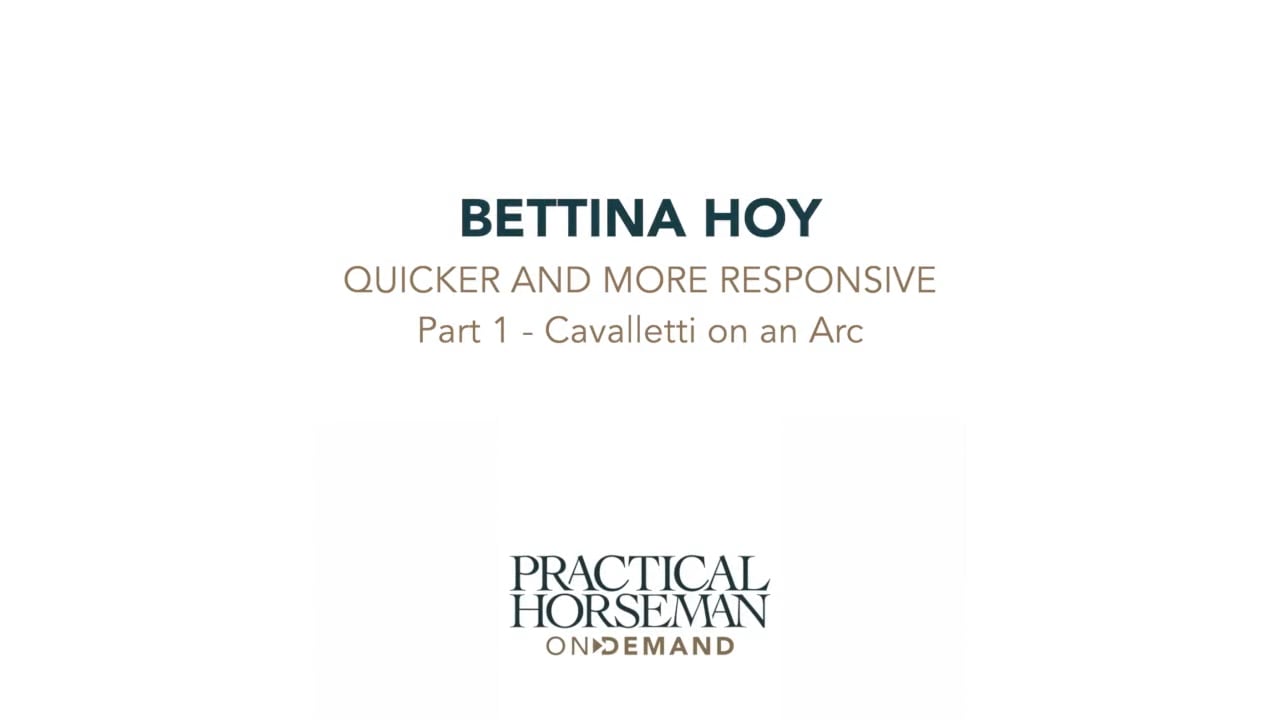 Quicker and Morse Responsive | Bettina Hoy | PART 01