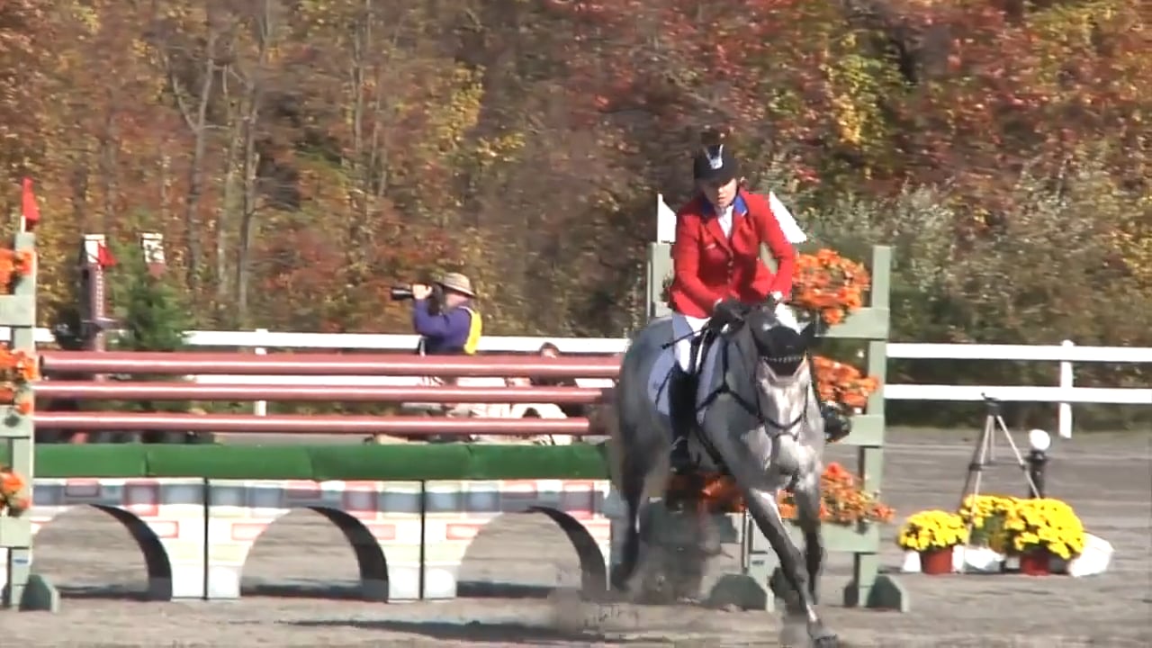 Get Those Feet Moving - Eventing Horses | Dorothy Crowell | PART 01