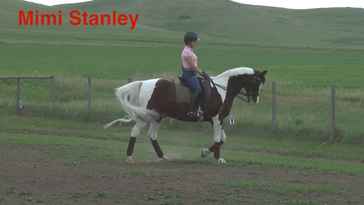 Senior PSG Arabian Cross | Mimi Stanley | INTRO