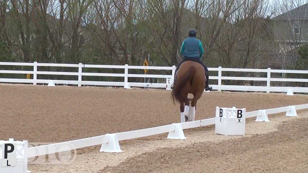 Swing Intro | Allison Brock