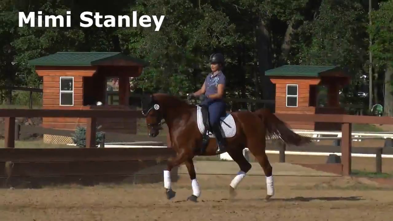 Retraining the Arabian English Pleasure Horse | Mimi Stanley | PART 02