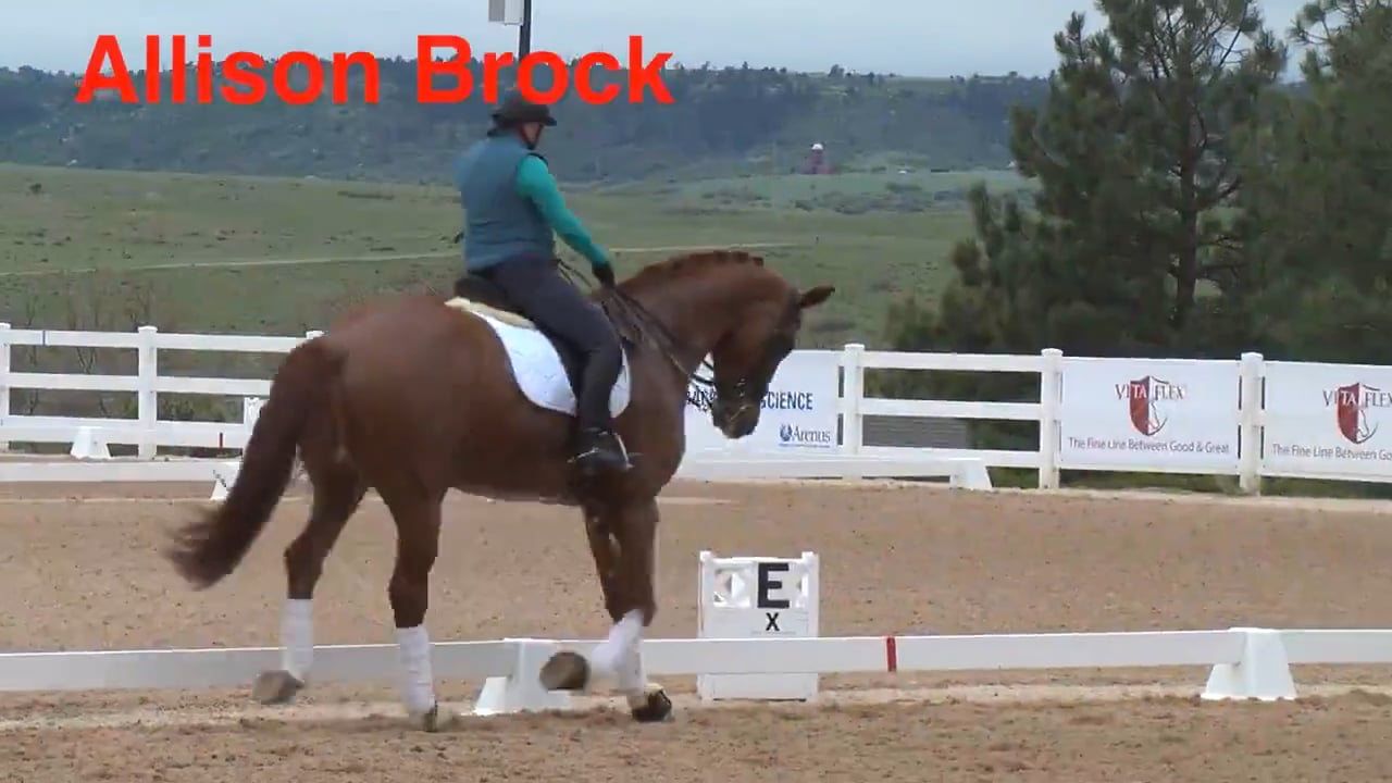 Swing - Final Trot Work | Allison Brock | PART 04