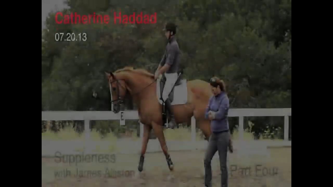 Suppleness | Catherine Haddad | PART 04
