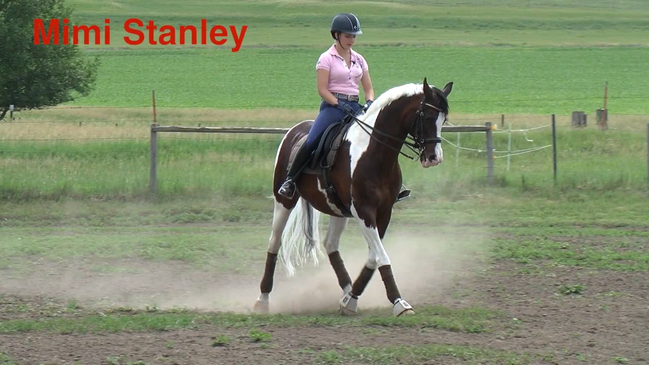 Senior PSG Arabian Cross | Mimi Stanley | PART 01