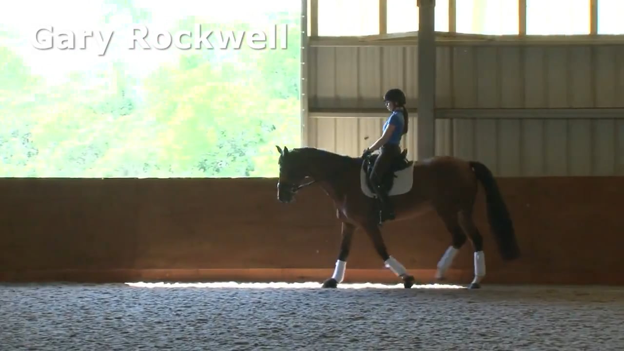 Roundness on the Outside Rein - Canter Work | Gary Rockwell | PART 06