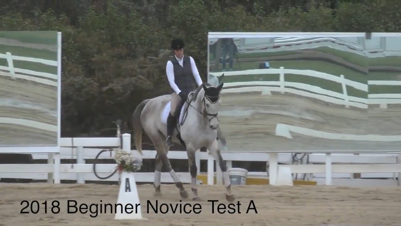 2018 Beginner Novice Dressage Test A | TRAILER