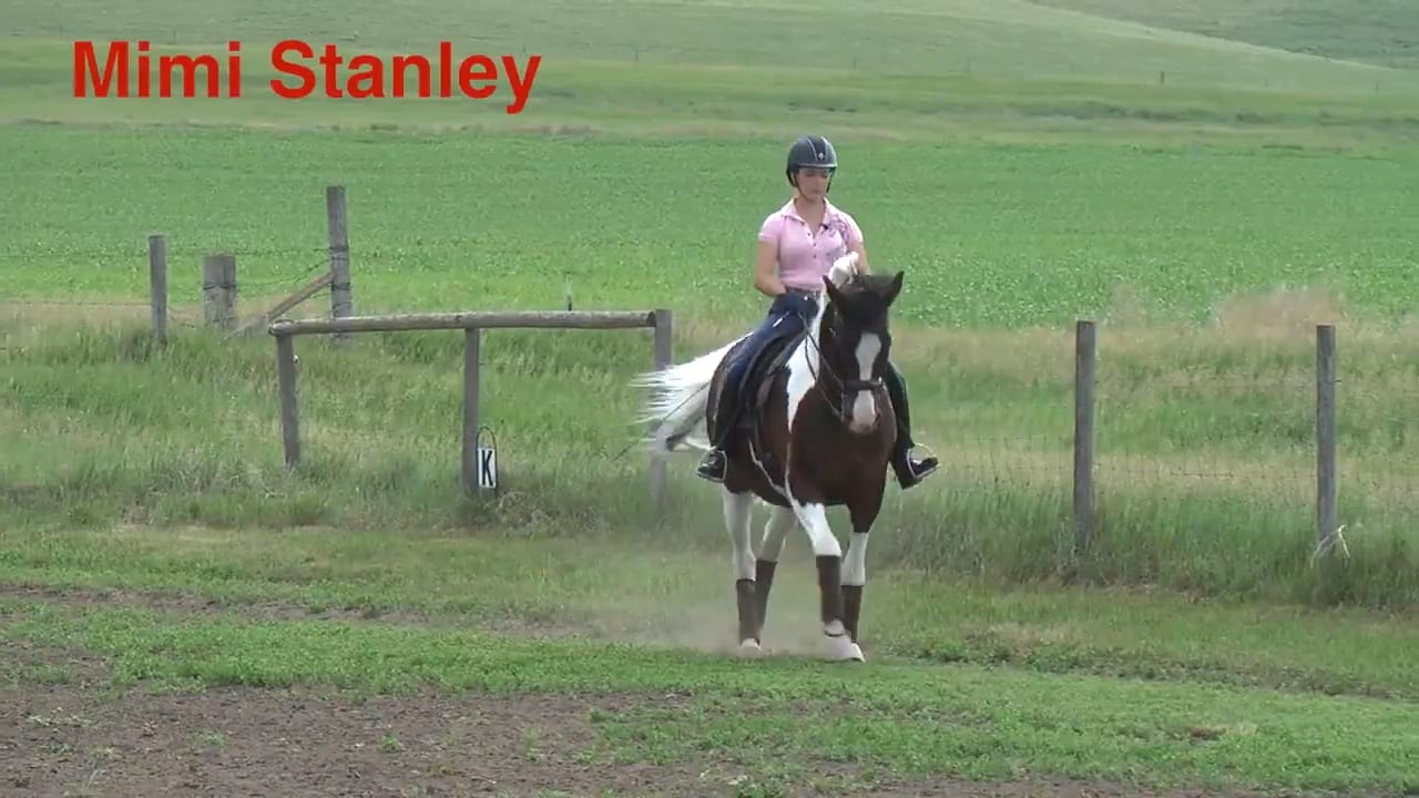 Senior PSG Arabian Cross