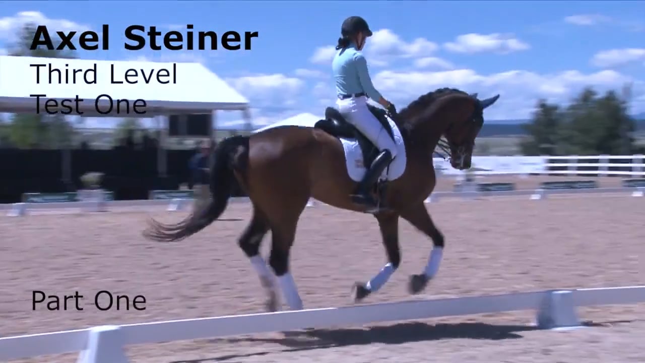 Third Level Test 1 | Axel Steiner | PART 01