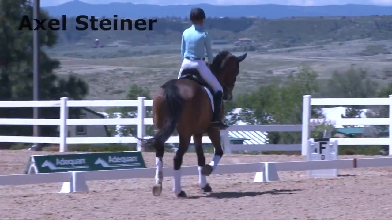 Third Level Test 1 | Axel Steiner | INTRO