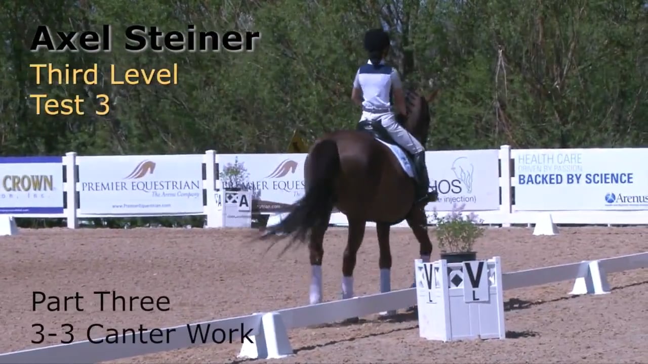 Third Level Test Three - Canter Work | Axel Steiner | PART 03