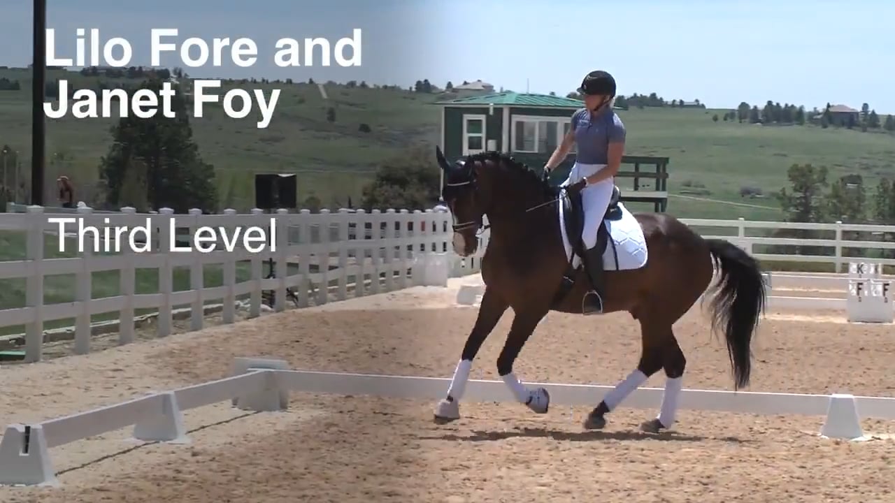 Third Level - Canter Half Pass, Single Change | Janet Foy & Lilo Fore | PART 01
