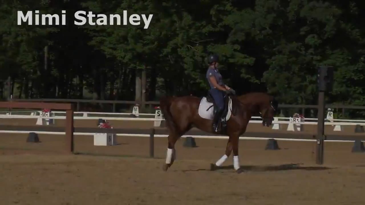Retraining the Arabian English Pleasure Horse | Mimi Stanley | PART 01