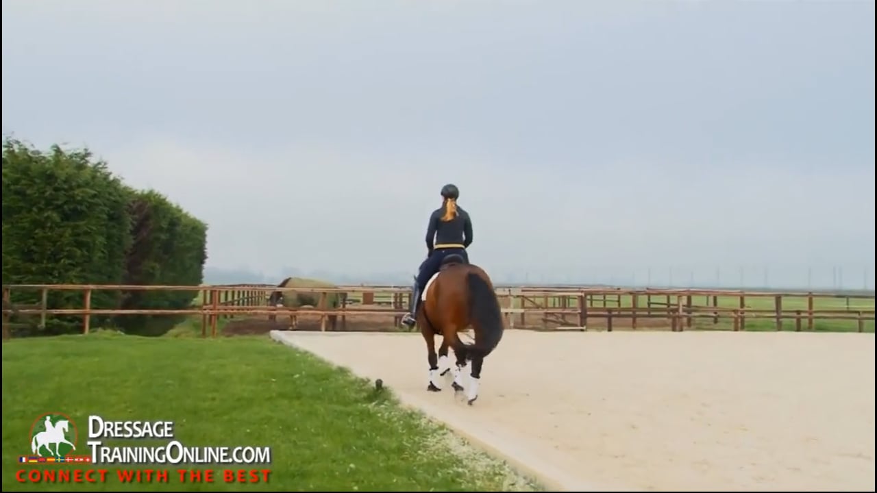 Tempo, Reaction, Transitions, and Flying Changes | Lotje Schoots | PART 02