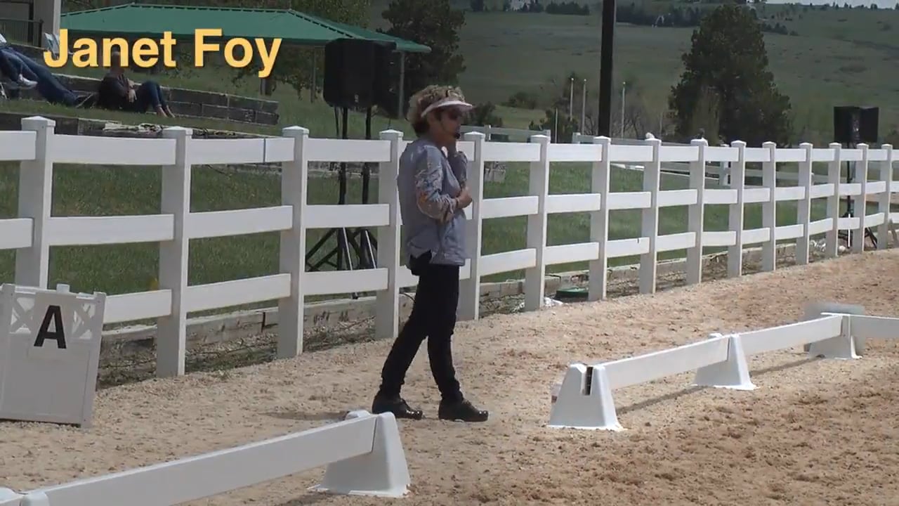 Prix St. Georges s/Intermediate 1 | Janet Foy | PART 03