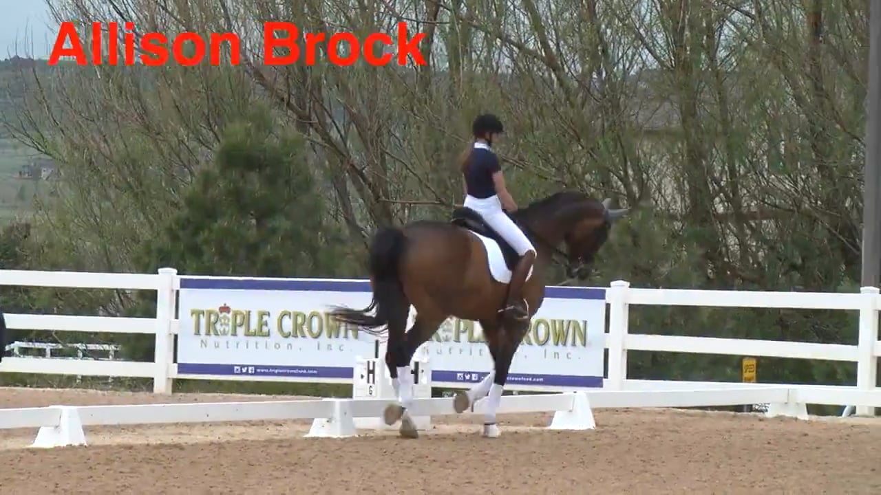 Third Level Work | Allison Brock | PART 01