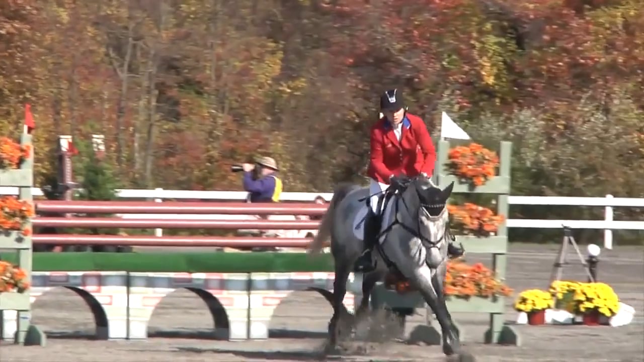 2018 Beginner Novice Test Series | TRAILER